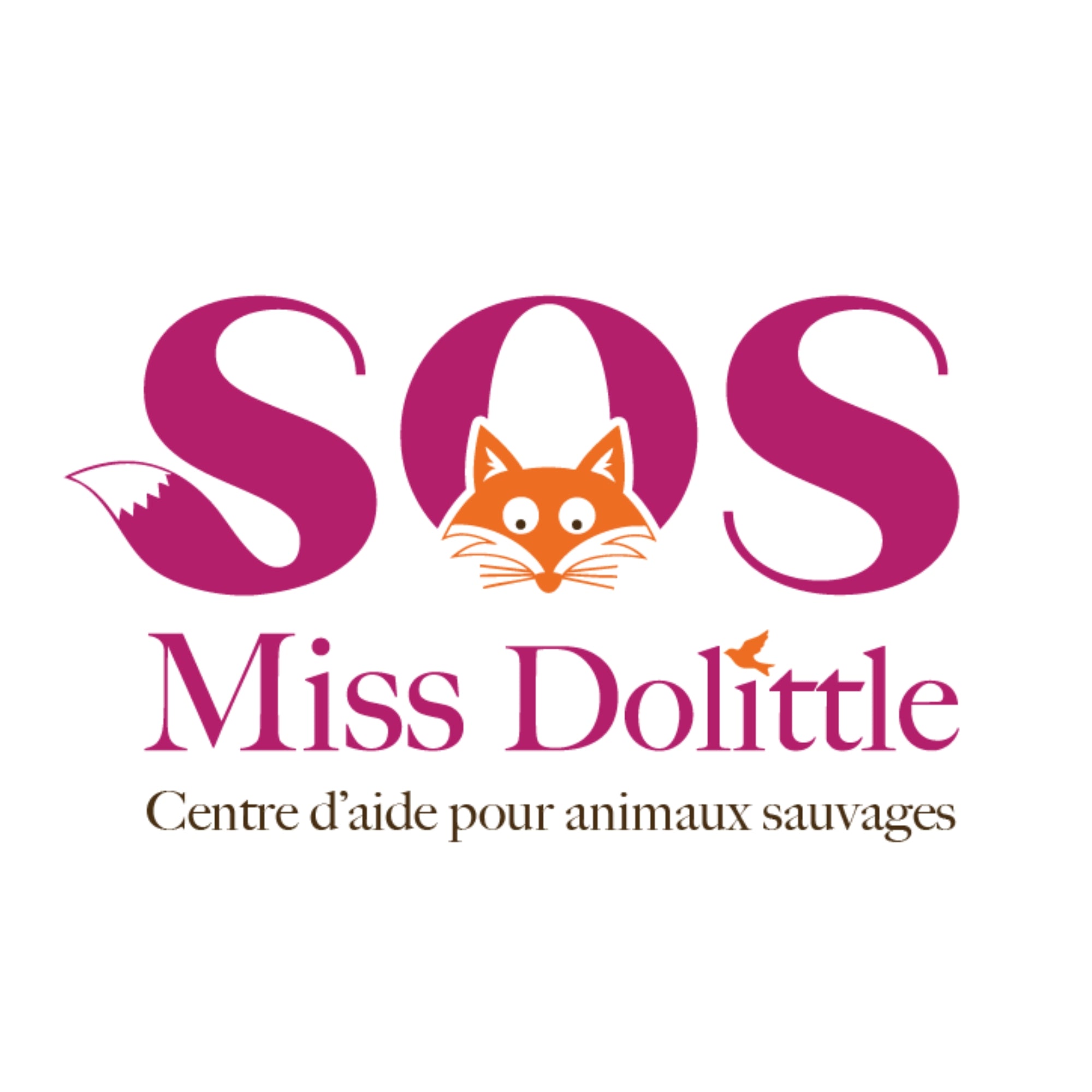 Soutenir SOS Miss Dolittle