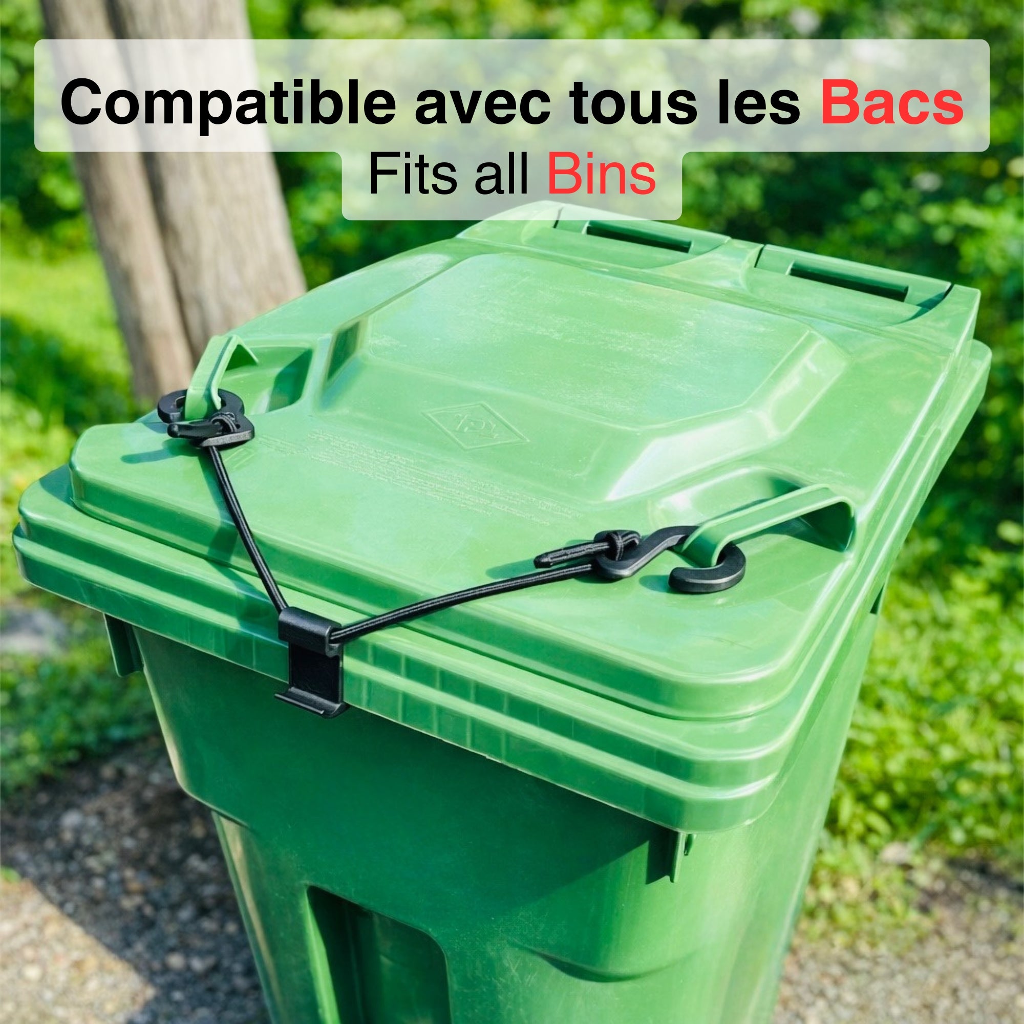 BinClip
